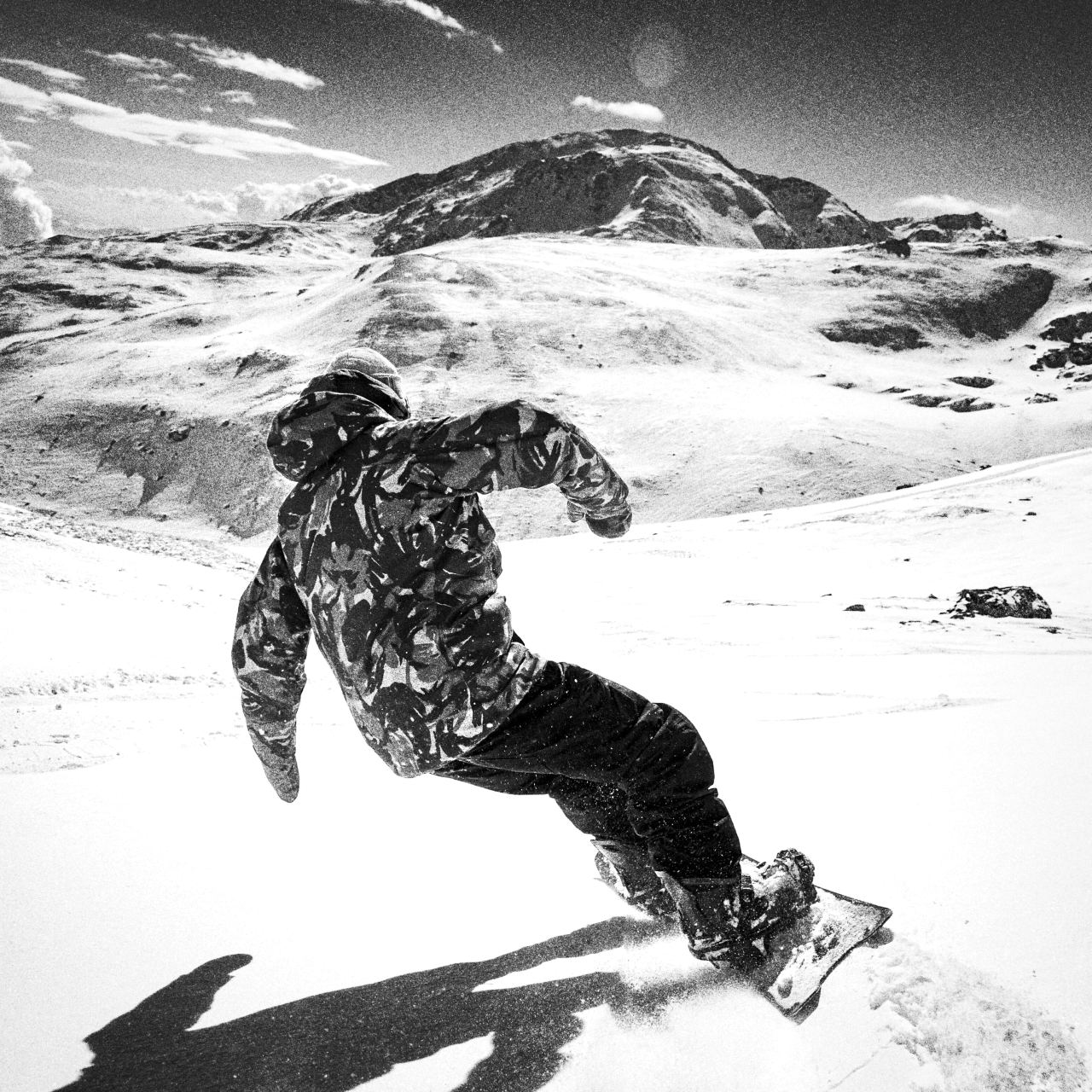 NIDECKER The Mosquito Snowsurfs - bei brettsport.de