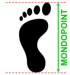 Schuhgrosse_NitroIN08kv1MfjnxN