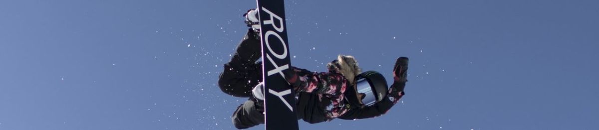 Roxy Snowboards Roxy Snowboards