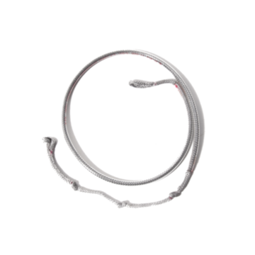 F-ONE Swing Harness Line